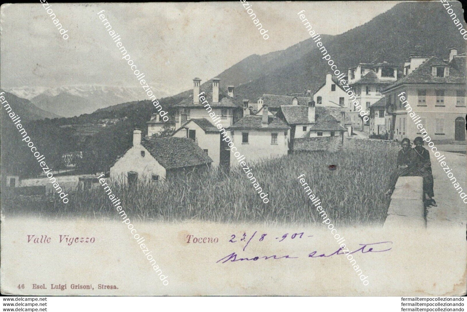 Az598 Cartolina Valle Vigezzo Toceno Scollata Provincia Di Verbania - Biella