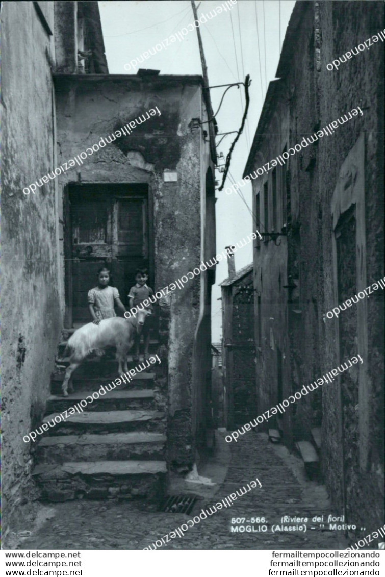Bq502 Cartolina Moglio Alassio Motivo Provincia Di Savona - Savona