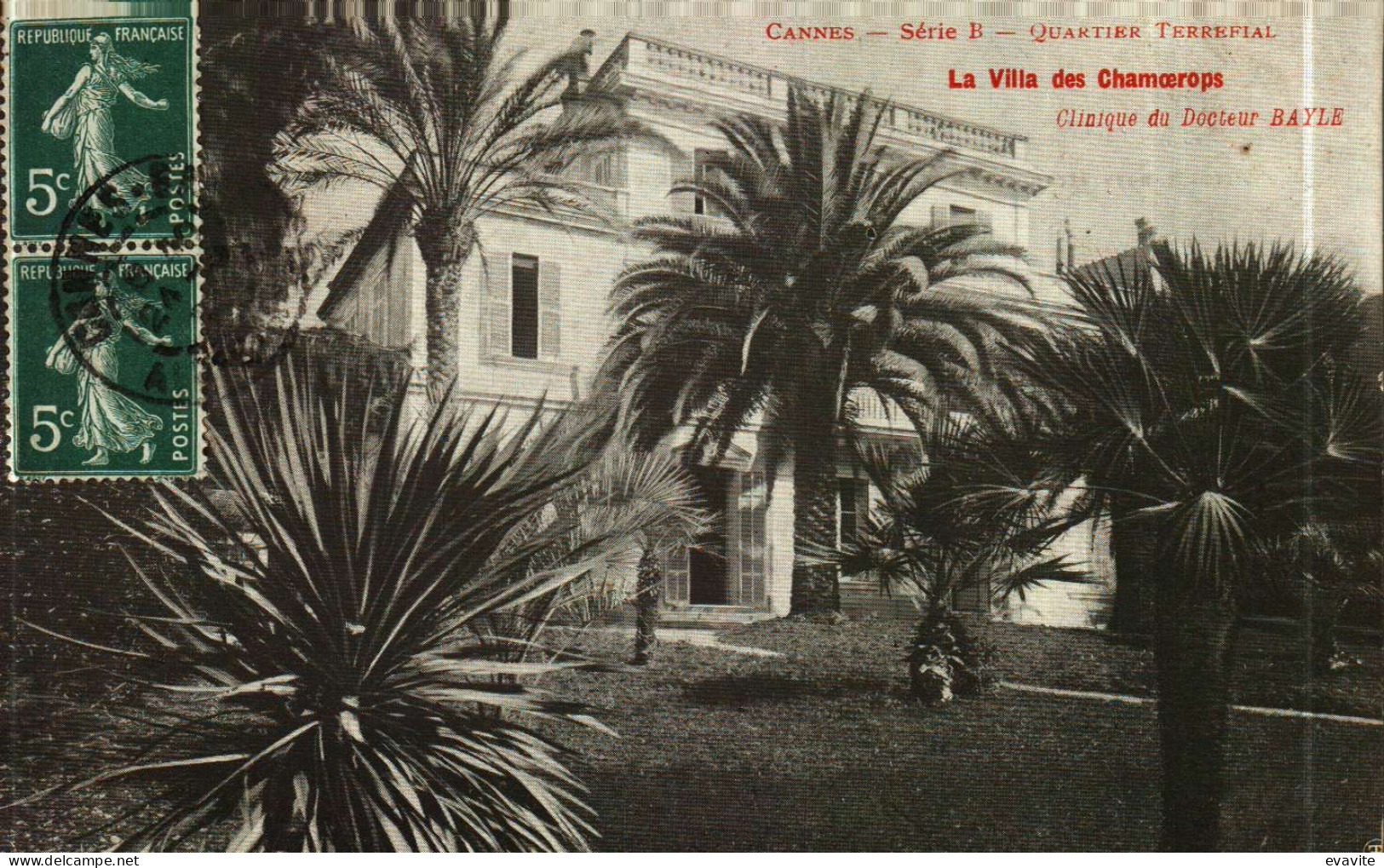 CPA  (06)     CANNES  Quartier Terrefial   La Villa Des Chamoerops   Clinique Du Docteur Bayle - Cannes