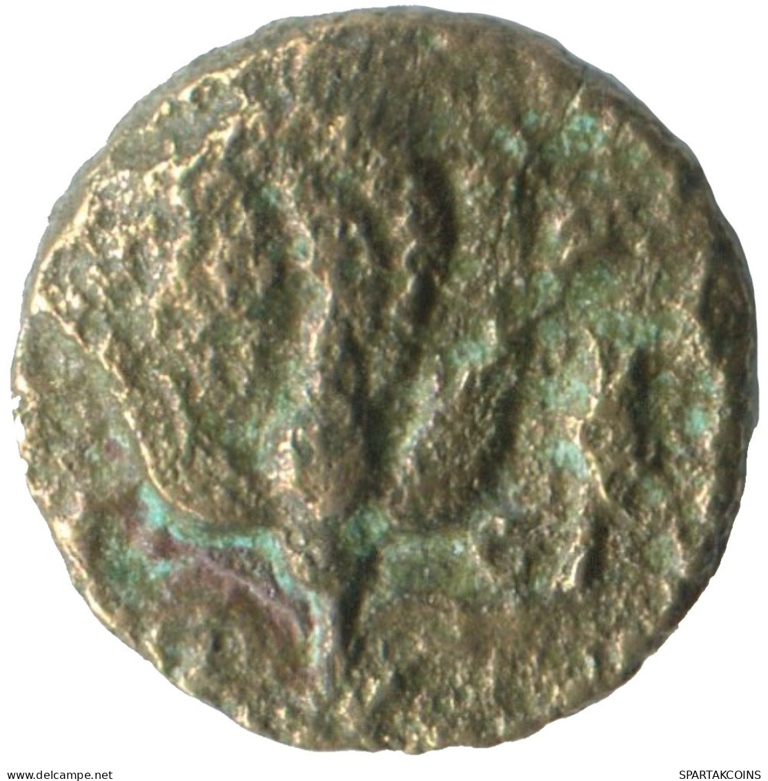 CARIA RHODOS 394 - 304 BC ROSE NYMPHE GRIEGO Moneda 1.2g/10mm #SAV1377.11.E.A - Griekenland