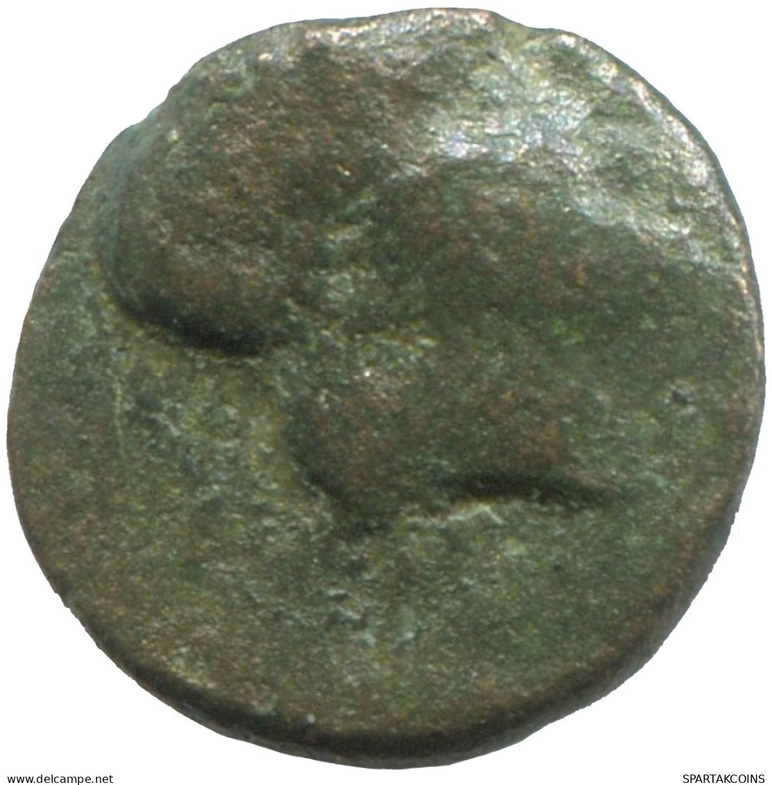 GOAT Antique GREC ANCIEN Pièce 1.2g/11mm #SAV1374.11.F.A - Greek