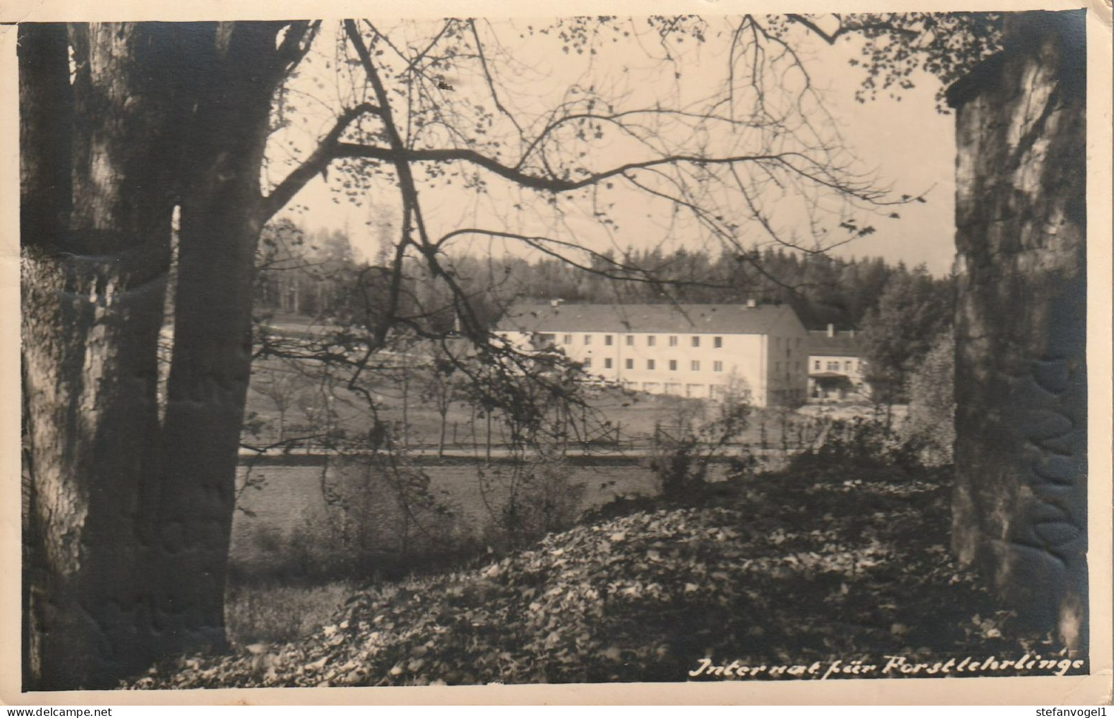 Grillenburg  1955  Internat - Autres & Non Classés
