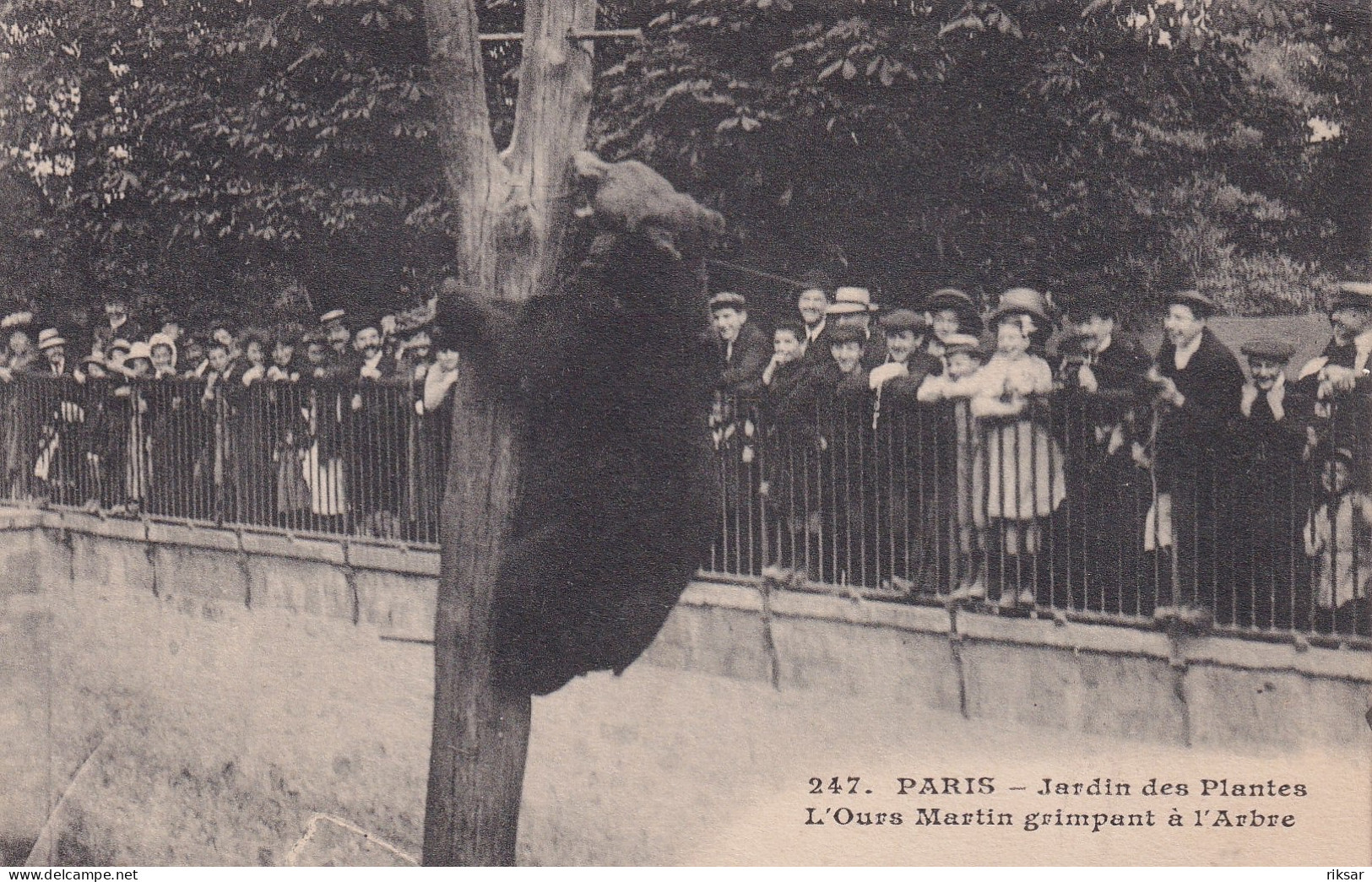 PARIS(5 Em ARRONDISSEMENT) JARDIN DES PLANTES(OURS) - Arrondissement: 05