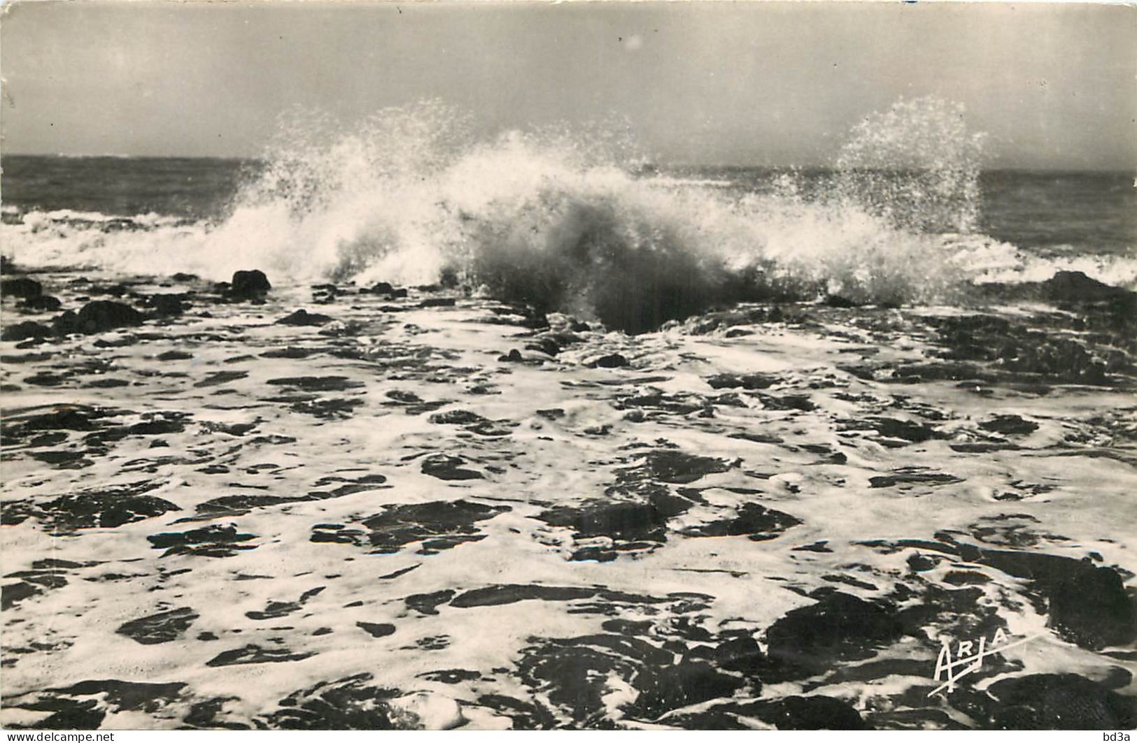 17 -  ILE D'OLERON - LA COTE SAUVAGE - Ile D'Oléron