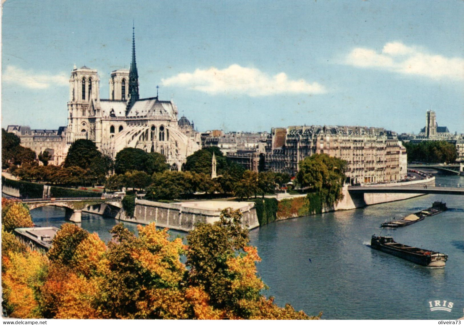 PARIS - Notre-Dame Et Les Jardins De L'Archevêché - Notre Dame Von Paris