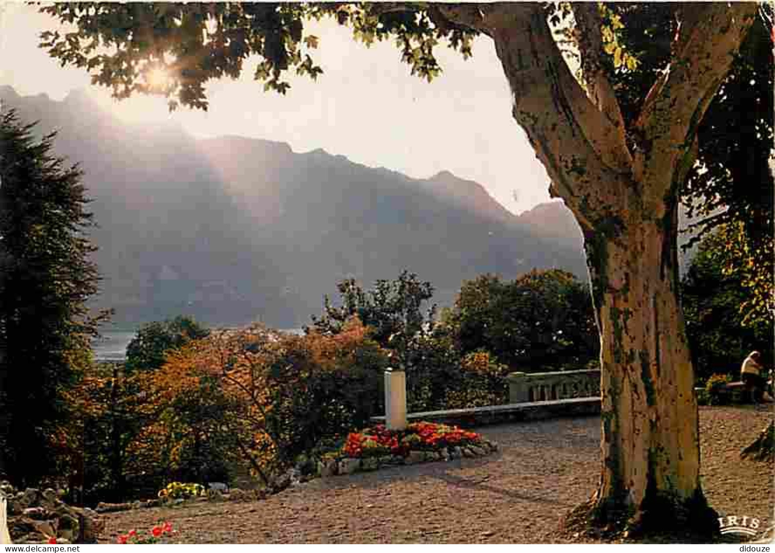 73 - Aix Les Bains - Ombres Et Lumières Sur Le Lac Du Bourget - Stèle Lamartine Et Dent Du Chat - CPM - Voir Scans Recto - Aix Les Bains