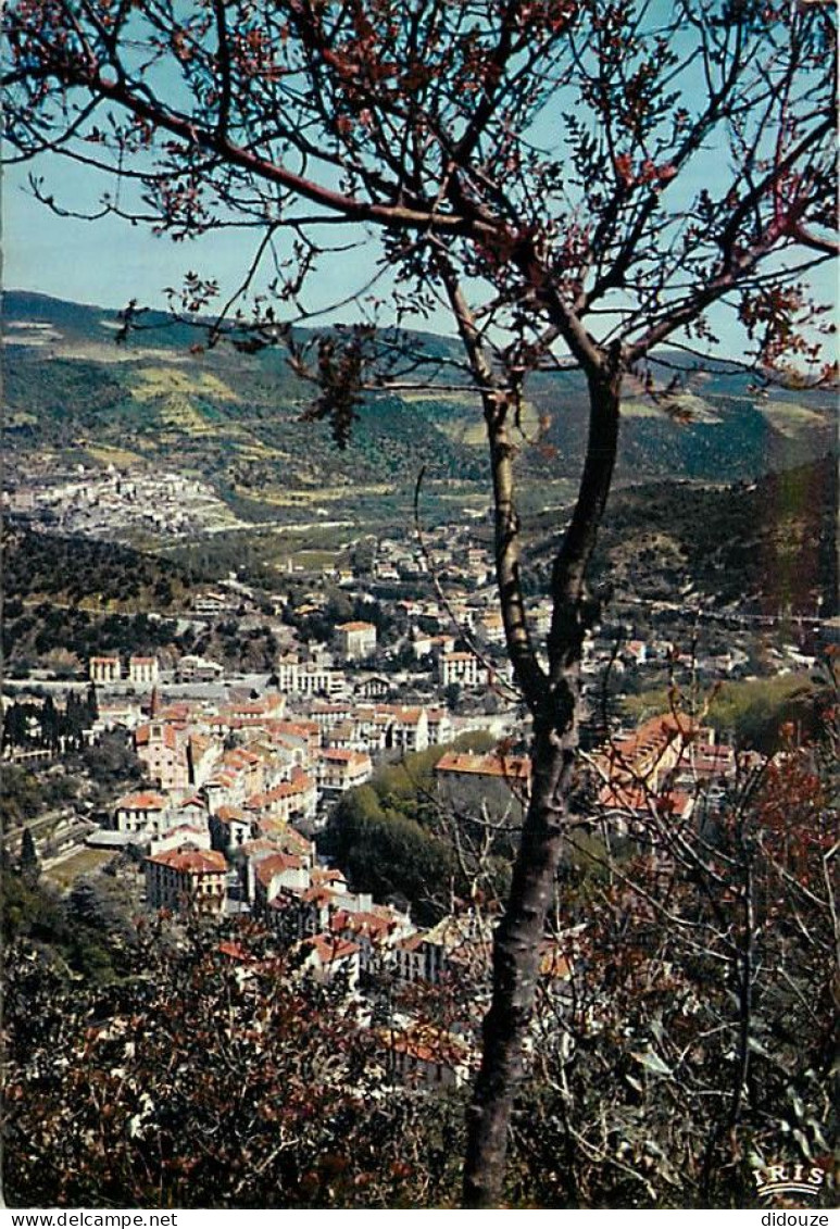 66 - Amélie Les Bains - Vue Pittoresque De La Station - Au Fond  Palalda - CPM - Voir Scans Recto-Verso - Other & Unclassified