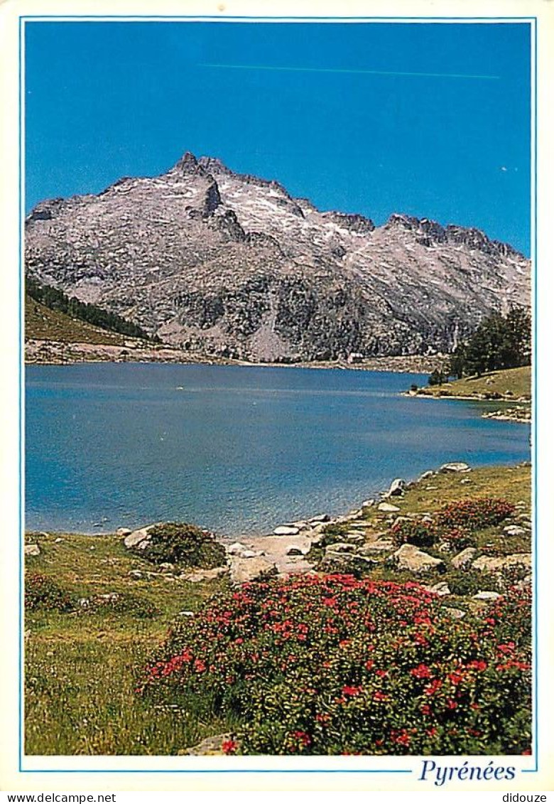65 - Hautes Pyrénées - La Route Des Lacs - Le Massif Du Néouvielle (3092 M) Et Le Lac D'Aumar (2193 M) - CPM - Voir Scan - Andere & Zonder Classificatie