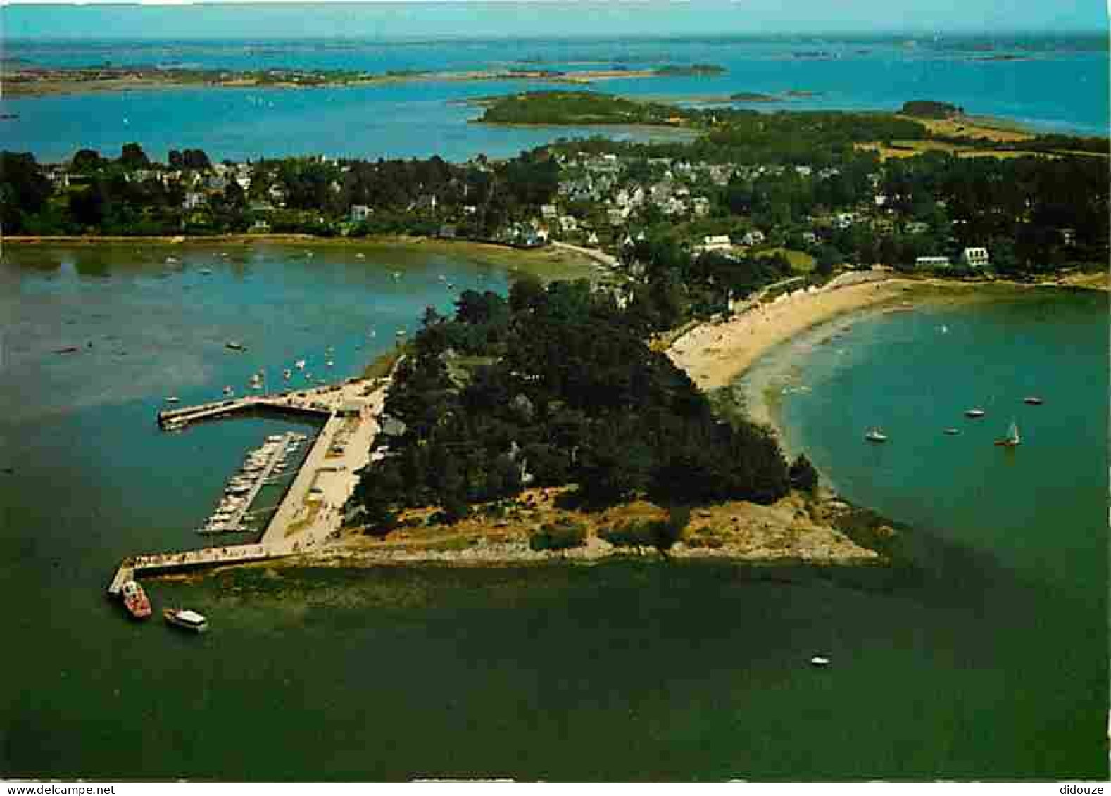 56 - Ile Aux Moines - Le Bois D'Amour - La Plage Du Drenn - Vue Aérienne - Carte Neuve - CPM - Voir Scans Recto-Verso - Ile Aux Moines