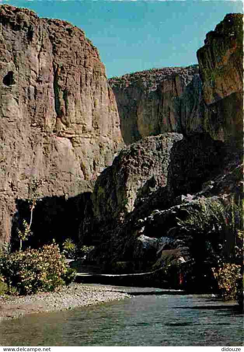 Maroc - Tinerhir - Gorges Du Todra - CPM - Voir Scans Recto-Verso - Autres & Non Classés