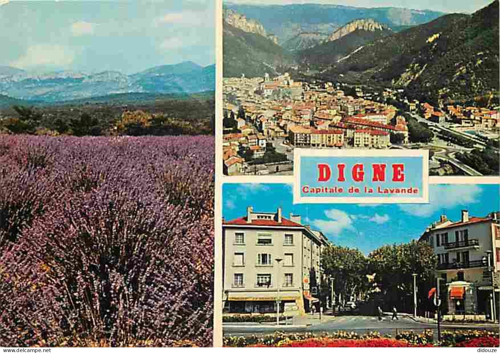 04 - Digne Les Bains - Multivues - Champs De Lavande - Carte Neuve - CPM - Voir Scans Recto-Verso - Digne