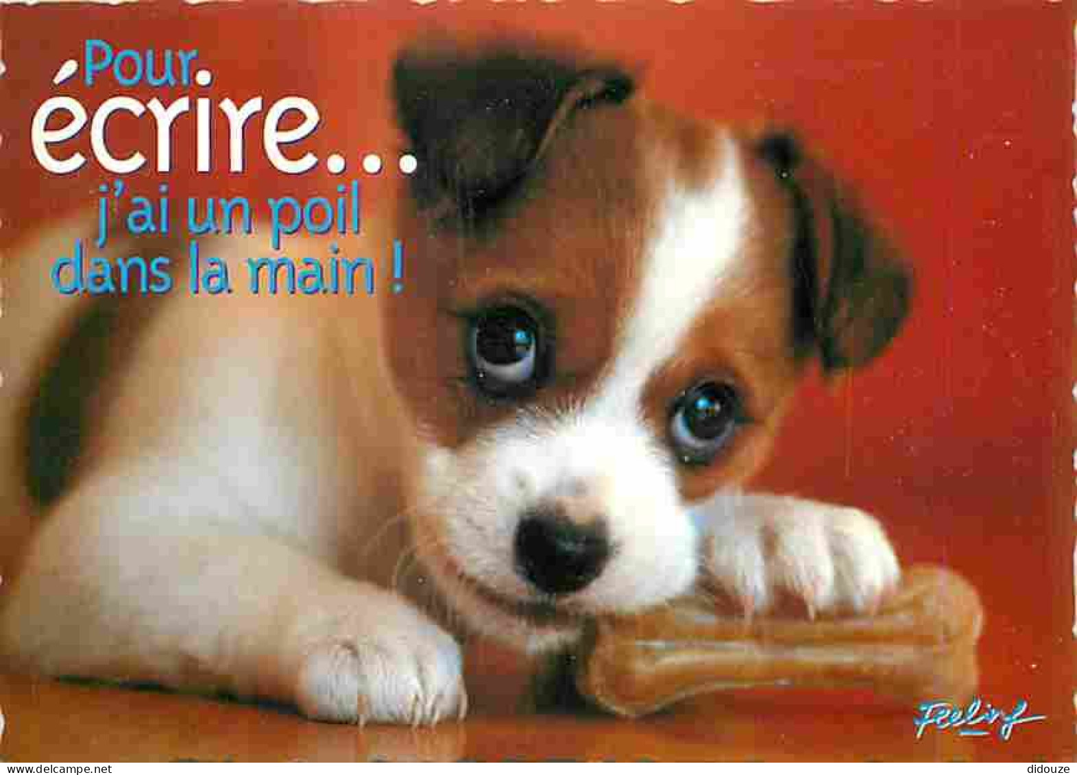 Animaux - Chiens - Race à Définir - Chiots - Carte Humoristique - CPM - Voir Scans Recto-Verso - Honden