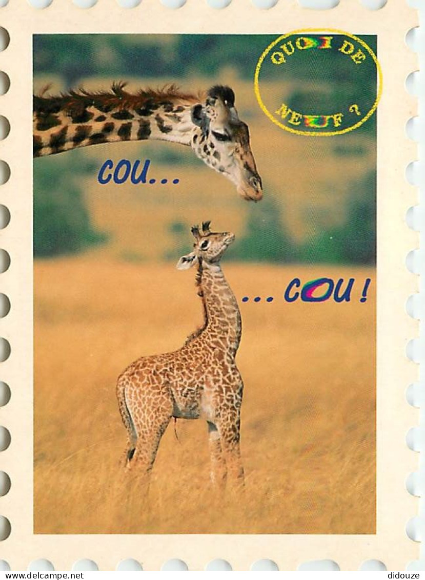 Animaux - Girafes - Collection La Carte Timbre - Découpe Originale En Forme De Timbre - Girafon - Carte Humoristique - C - Giraffe