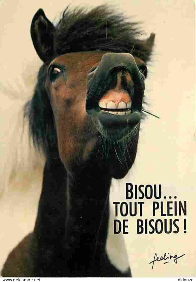 Animaux - Chevaux - Carte Humoristique - Flamme Postale - Voir Scans Recto Verso  - Horses