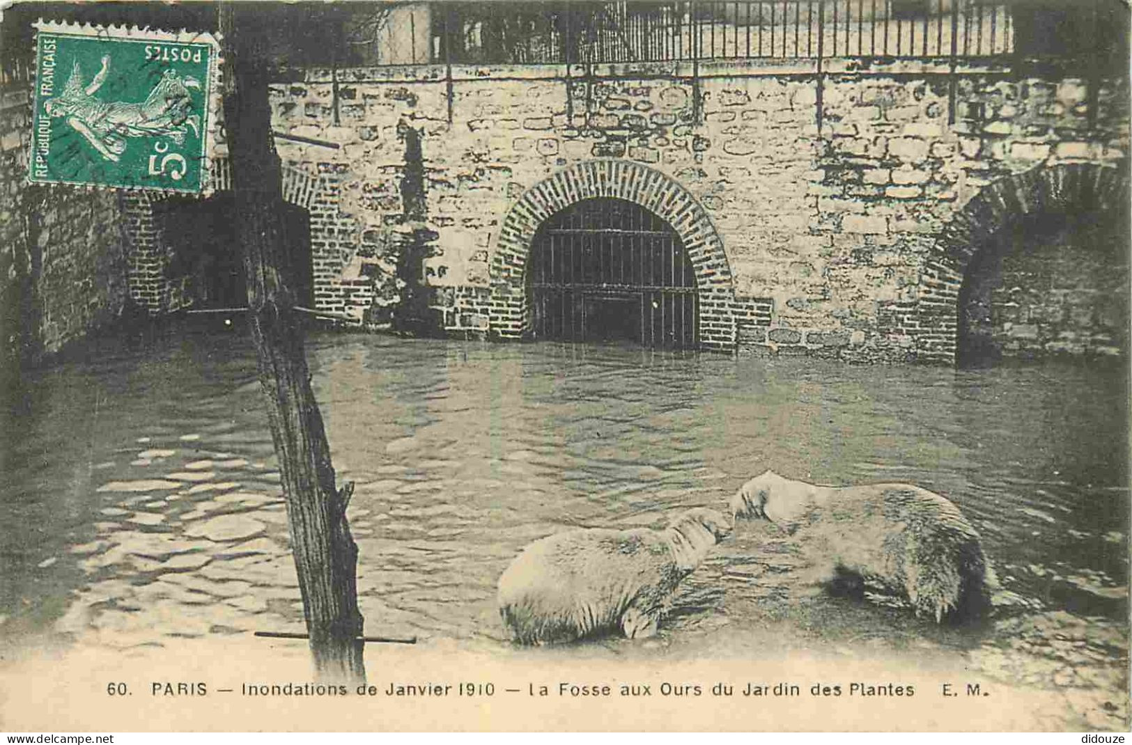 75 - Paris - Inondations De 1910 - Jardin Des Plantes - La Fosse Aux Ours - Zoo - CPA - Oblitération Ronde De 1910 - Voi - Überschwemmung 1910