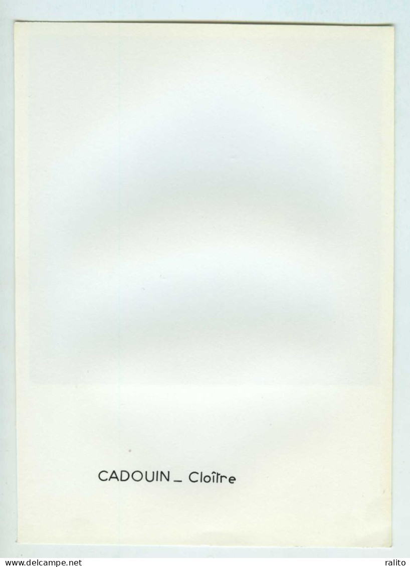 CADOUIN Vers 1960 Cloitre Photo 14 X 14 Cm DORDOGNE - Lugares