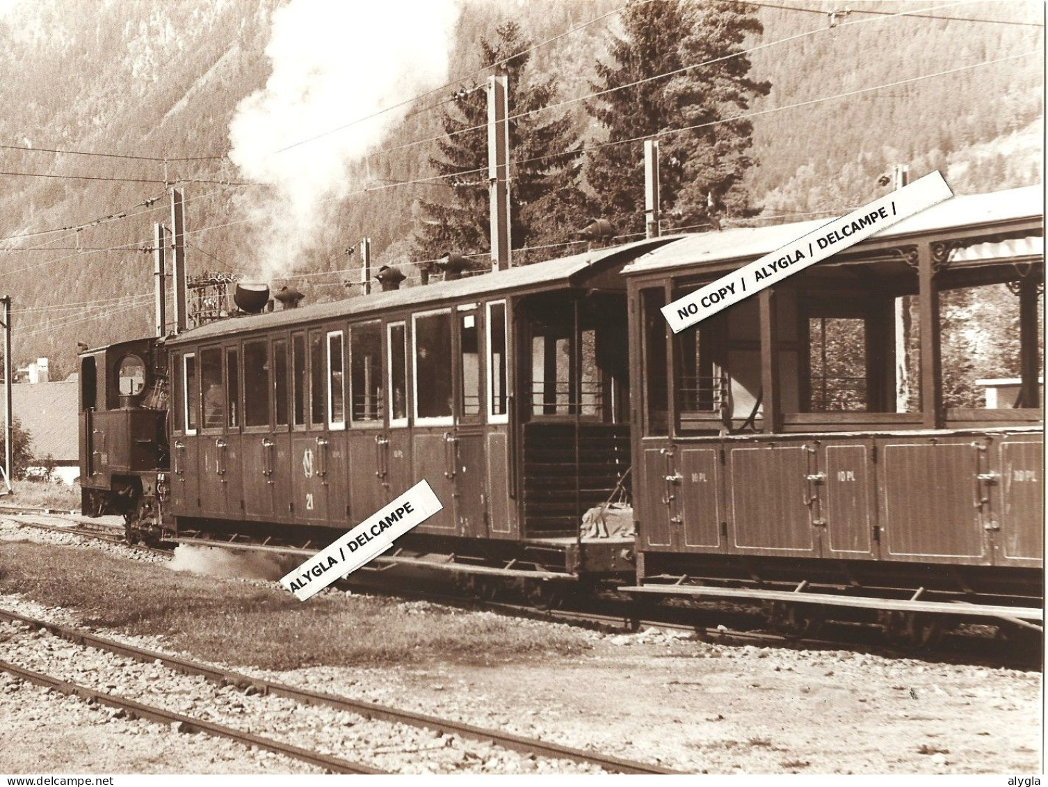 74 - CHAMONIX - Dernier Train Spécial à Vapeur En Gare Du Montenvers à Chamonix Le 20.09.1981 - Gde Photo 17,5 X 24 Cm - Lieux