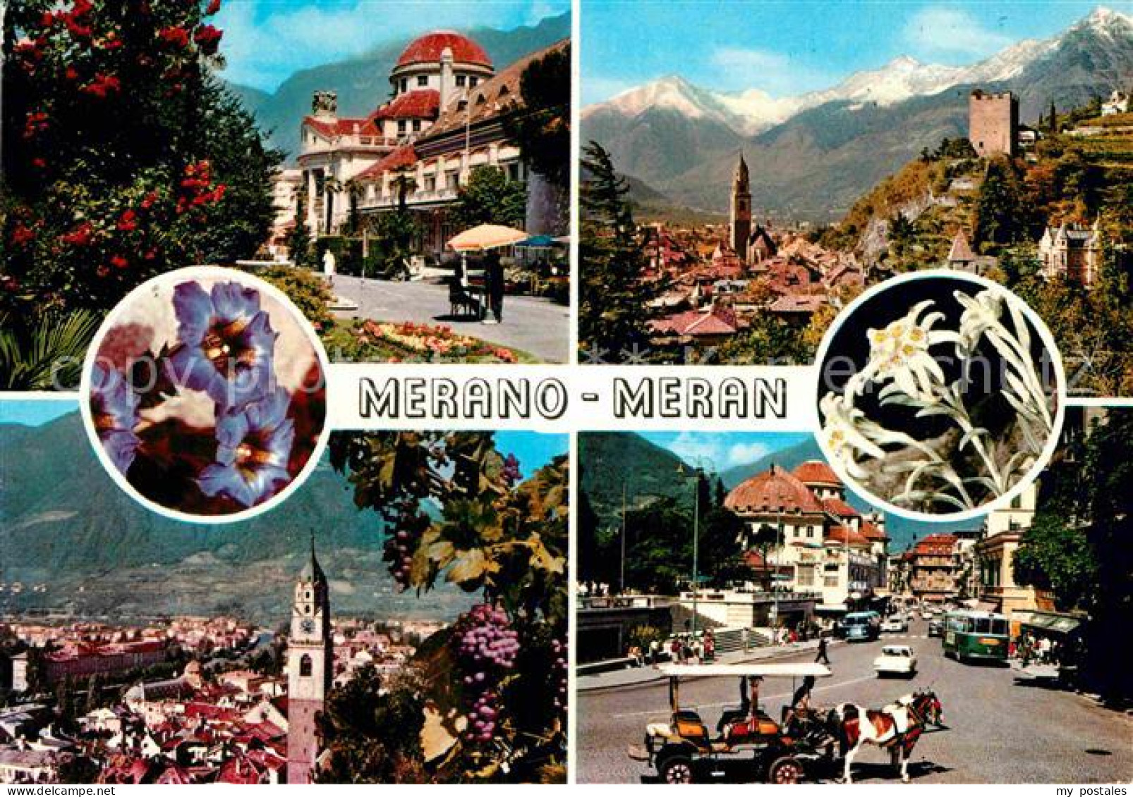 72848821 Meran Merano Visioni Panoramiche Ortsansichten Kirche Burgruine Texelgr - Sonstige & Ohne Zuordnung