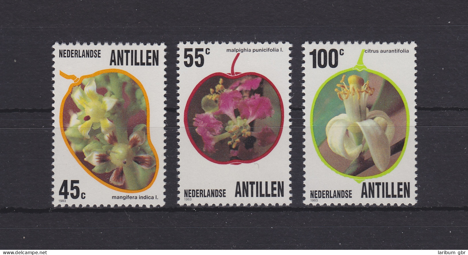 Niederländische Antillen 497-499 Postfrisch Blumen, Flowers MNH #GE149 - Curaçao, Nederlandse Antillen, Aruba