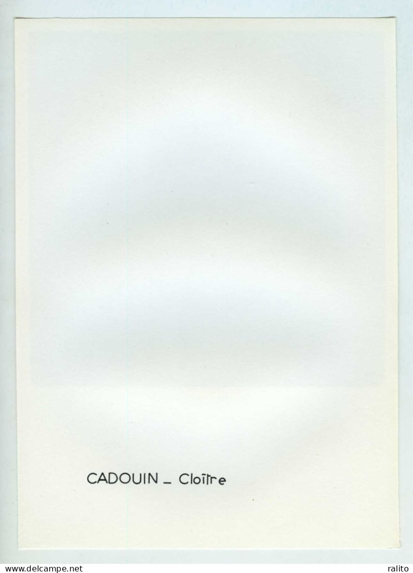 CADOUIN Vers 1960 Cloitre Photo 14 X 14 Cm DORDOGNE - Orte