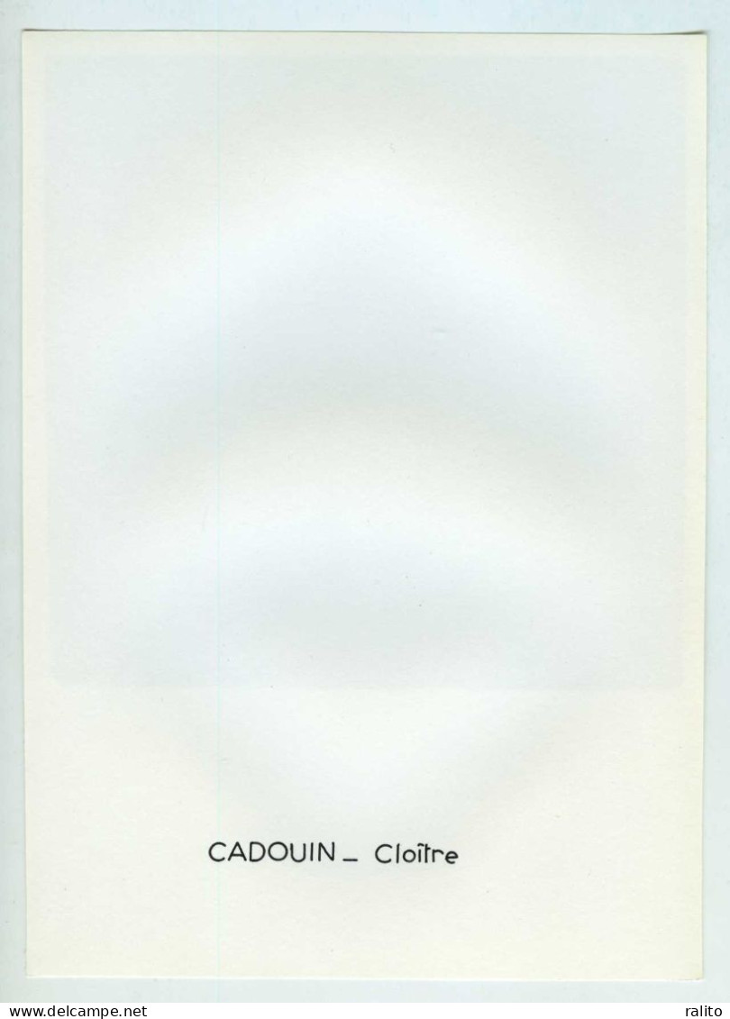 CADOUIN Vers 1960 Cloitre Photo 14 X 14 Cm DORDOGNE - Plaatsen