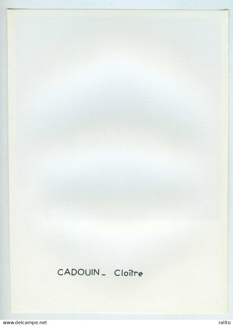 CADOUIN Vers 1960 Cloitre Photo 14 X 14 Cm DORDOGNE - Orte