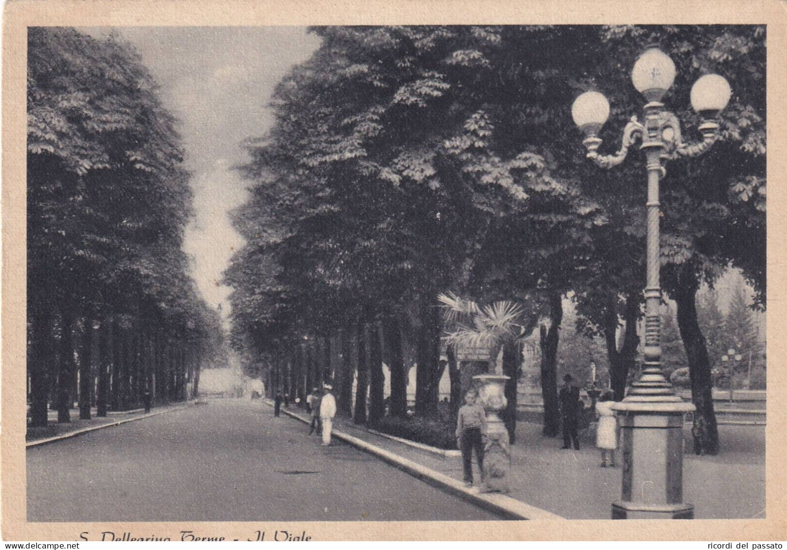 Cartolina San Pellegrino Terme ( Bergamo ) Il Viale - Bergamo