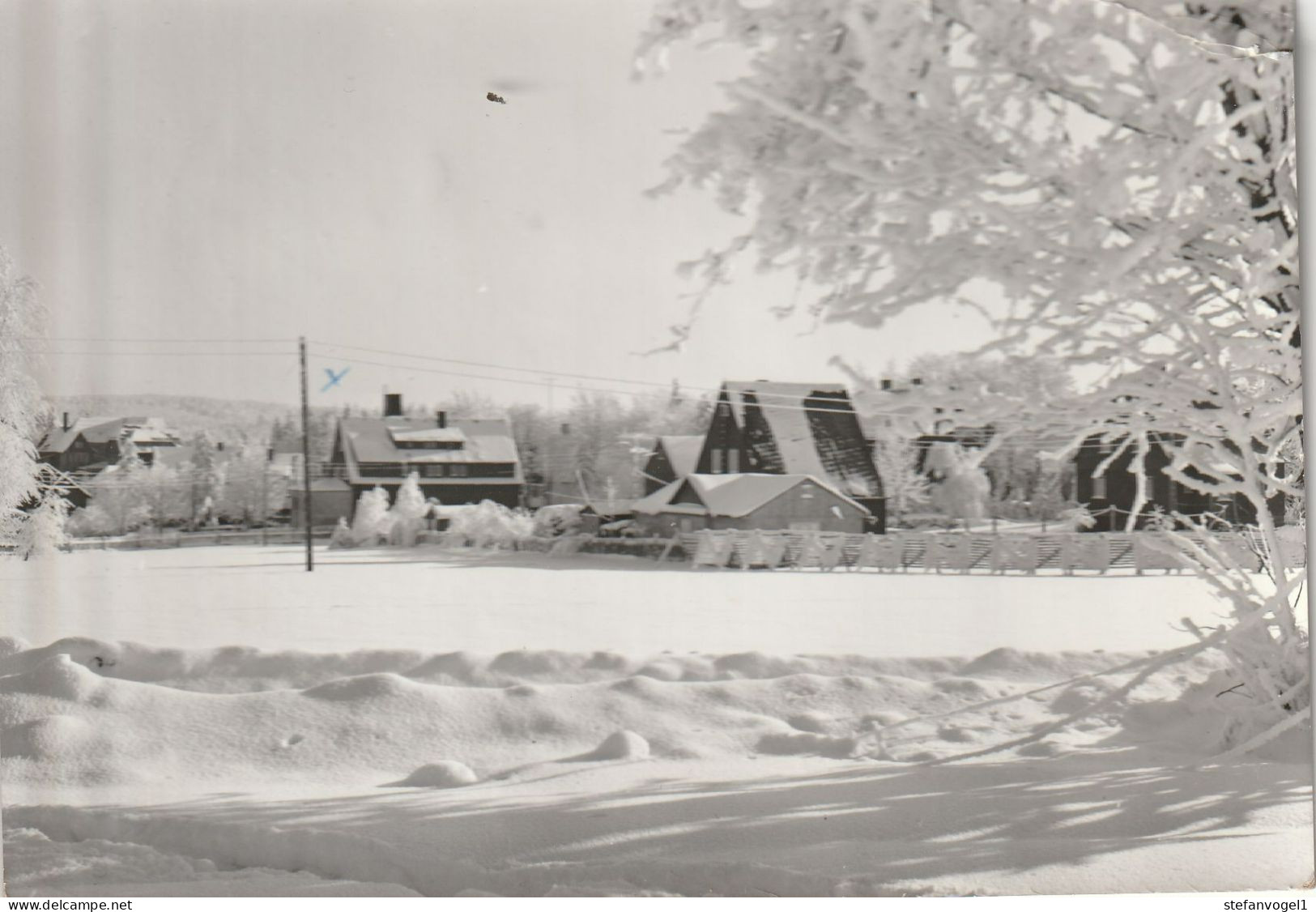 Neuhermsdorf  1962   Im Winter - Autres & Non Classés