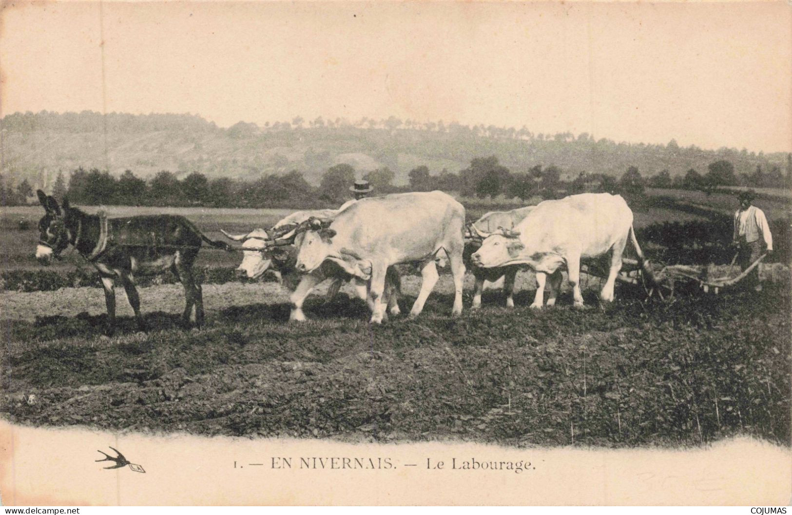 58 - EN NIVERNAIS _S28760_ Le Labourage - Agriculture - Andere & Zonder Classificatie