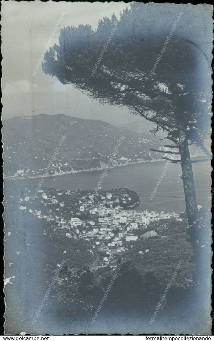 Cs428 Cartolina Fotografica Portofino Vetta Provincia Di Genova 1933 - Genova (Genoa)