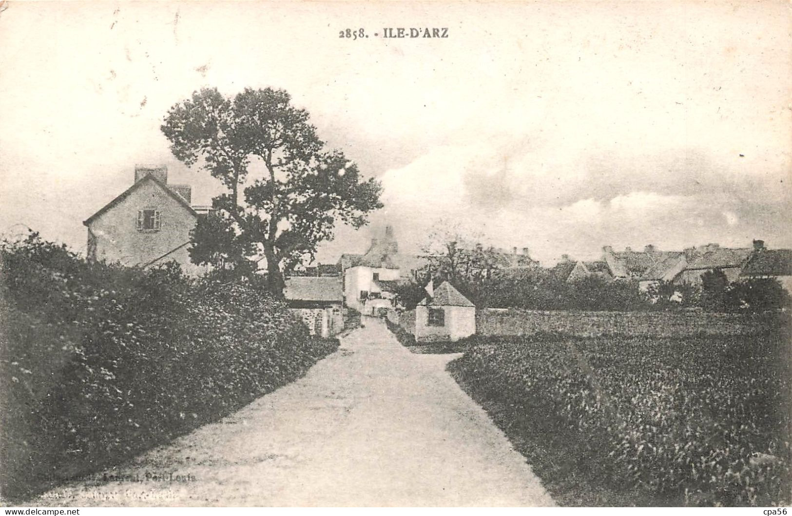 île D'ARZ - ARZ - H. Laurent éd. (cliché Vers 1914) VENTE DIRECTE X - Sonstige & Ohne Zuordnung