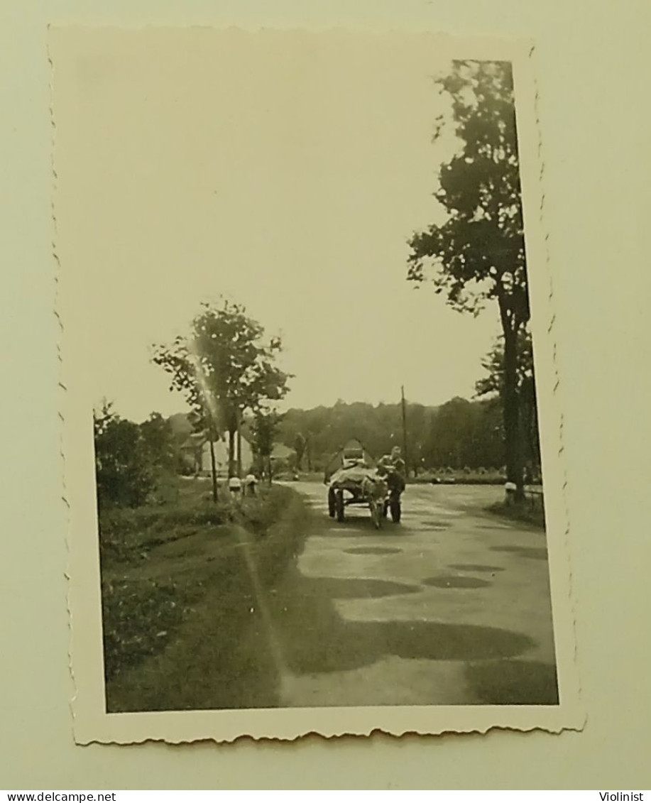 Germany - Street In Zorge - Lieux