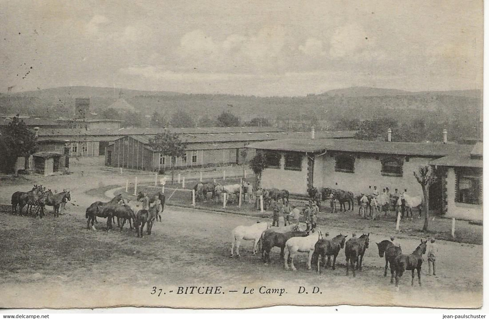 57 -  Bitche-  Le Camp  DD    **CPA    Animée   Chevaux  ** - Bitche