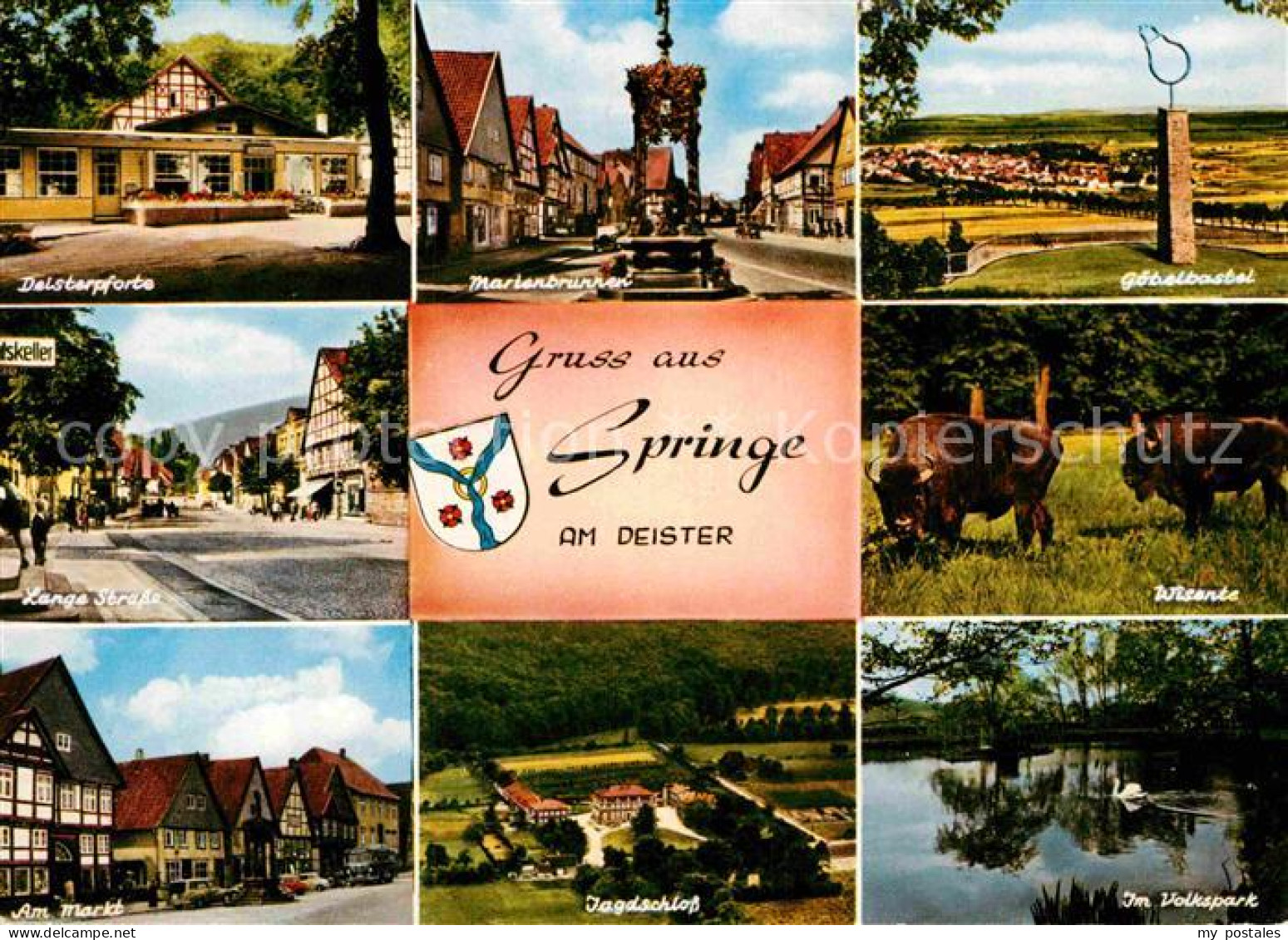 72846530 Springe Deister Wisente Mariabrunnen Markt Jadgschloss Springe - Autres & Non Classés