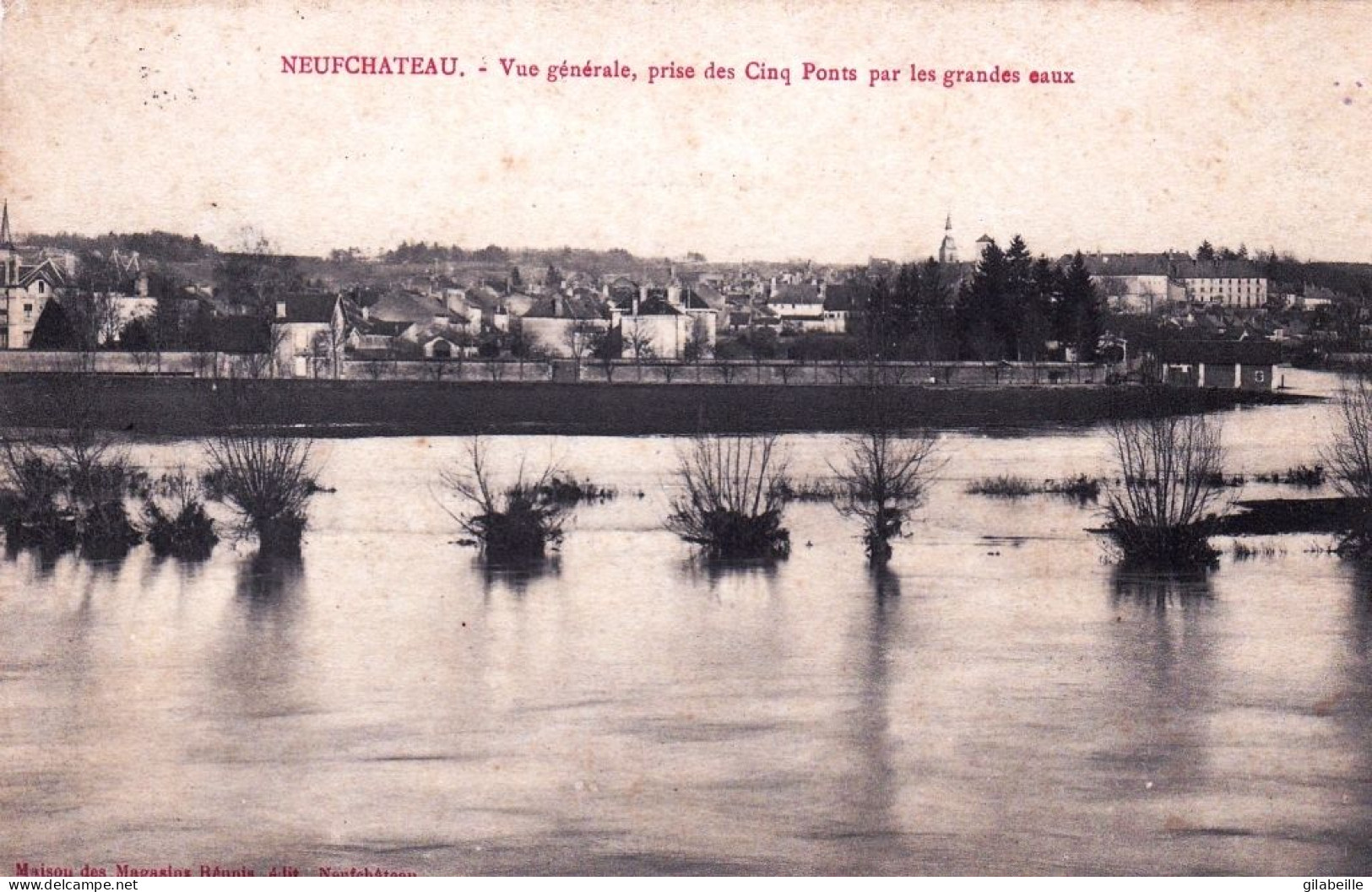 88 - Vosges -  NEUFCHATEAU - Vue Generale Prise Des Cinq Ponts Par Les Grandes Eaux - Neufchateau