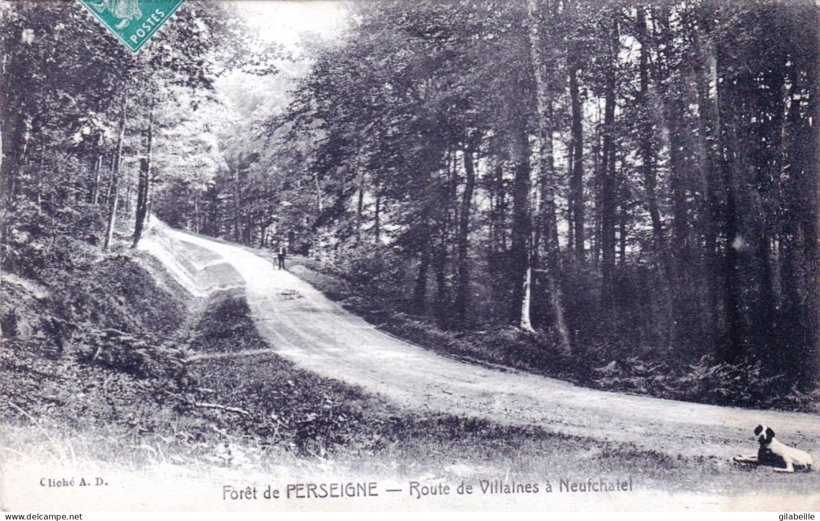 72 - Sarthe - Foret De PERSEIGNE - Route De Villaines A Neuchatel - Sonstige & Ohne Zuordnung