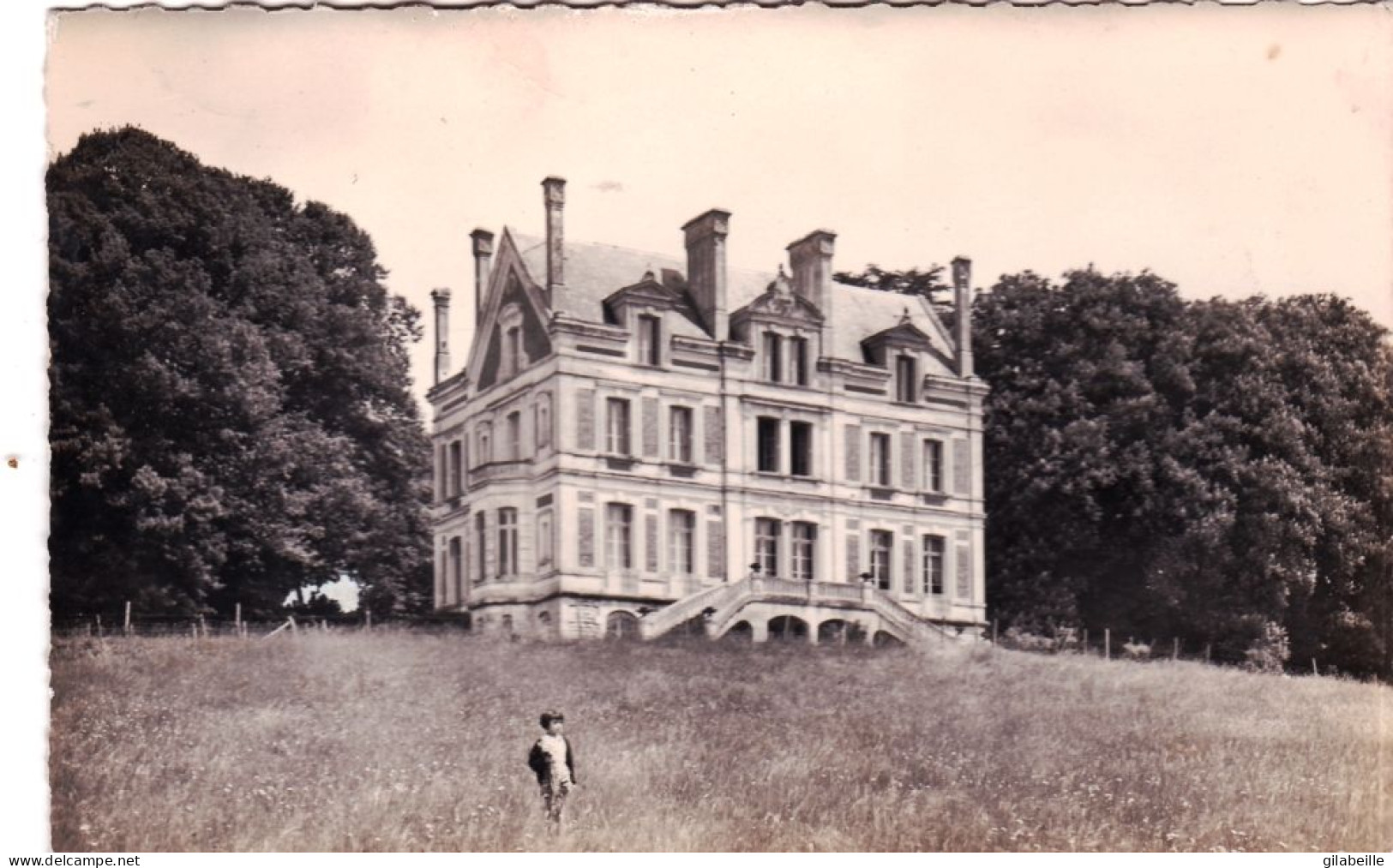 72 - Sarthe - PONTVALLAIN - Chateau Des Touches - Pontvallain