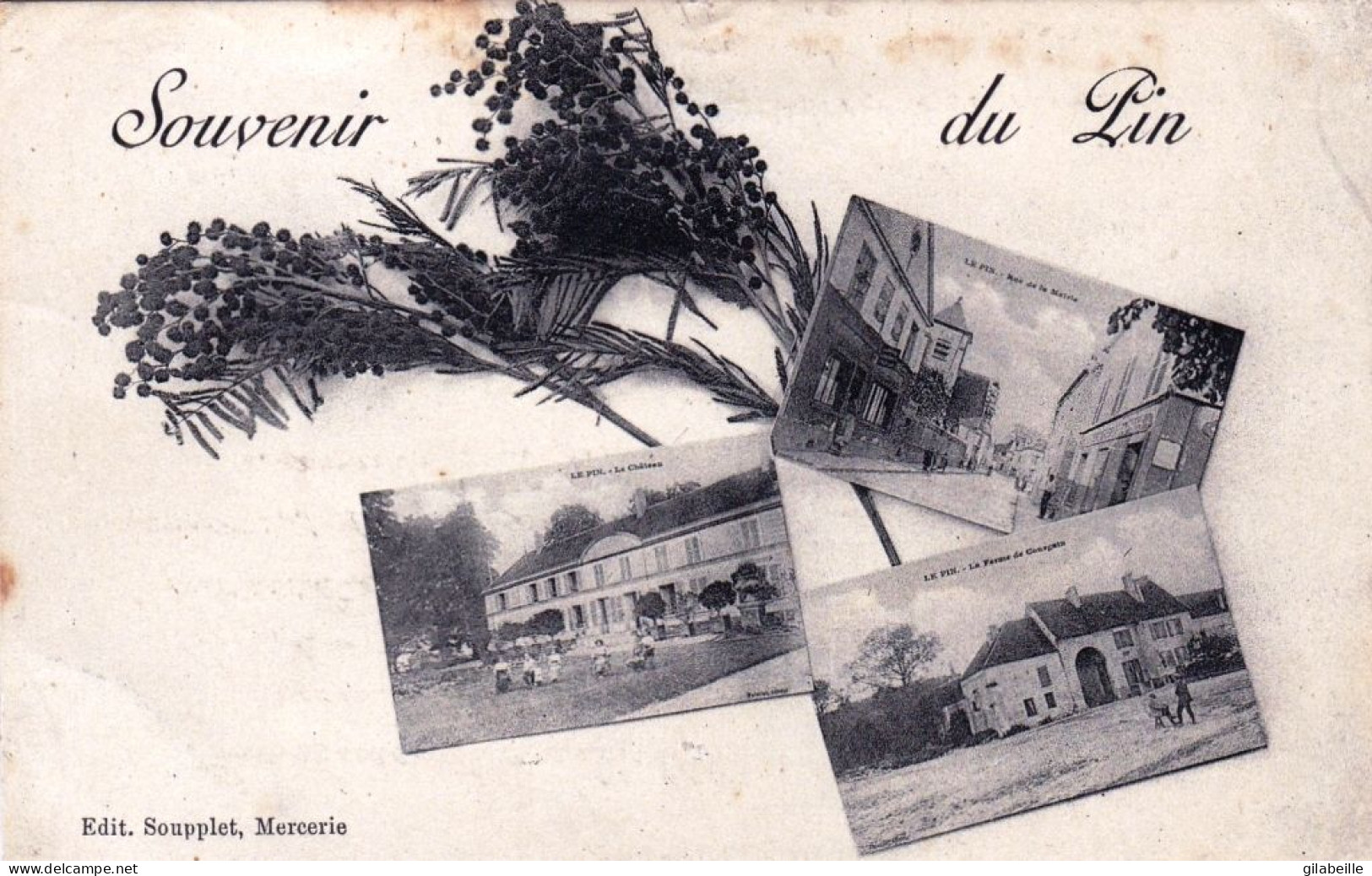 77 - Seine Et Marne -  LE PIN -  Souvenir - Andere & Zonder Classificatie