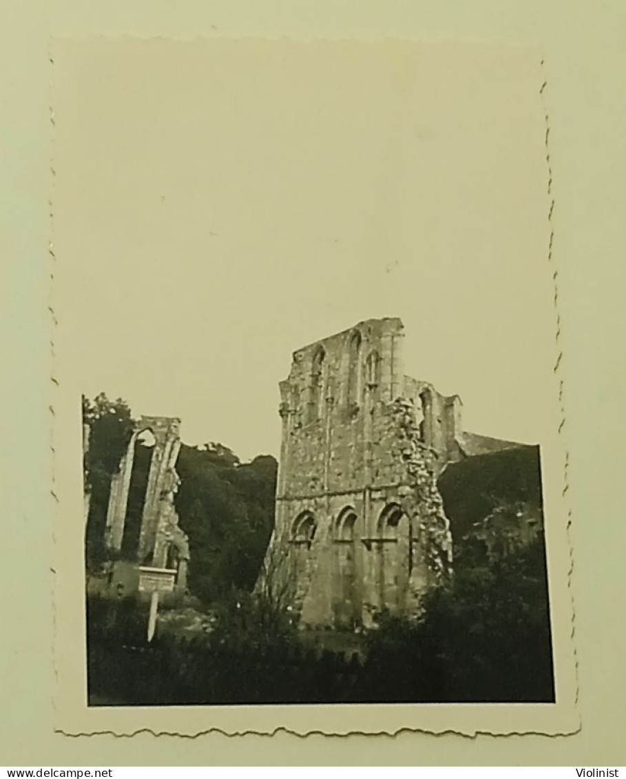 Germany - Ruins Of Walkenried - Places