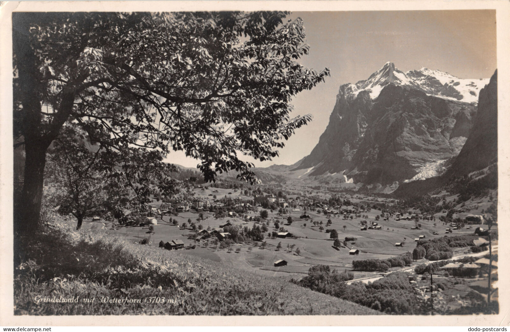 R334373 Grindelwald Mit Wetterhorn. Photoglob - World