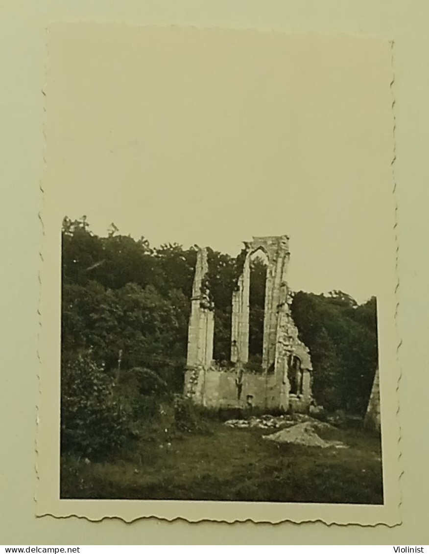 Germany - Ruins Of Walkenried - Places