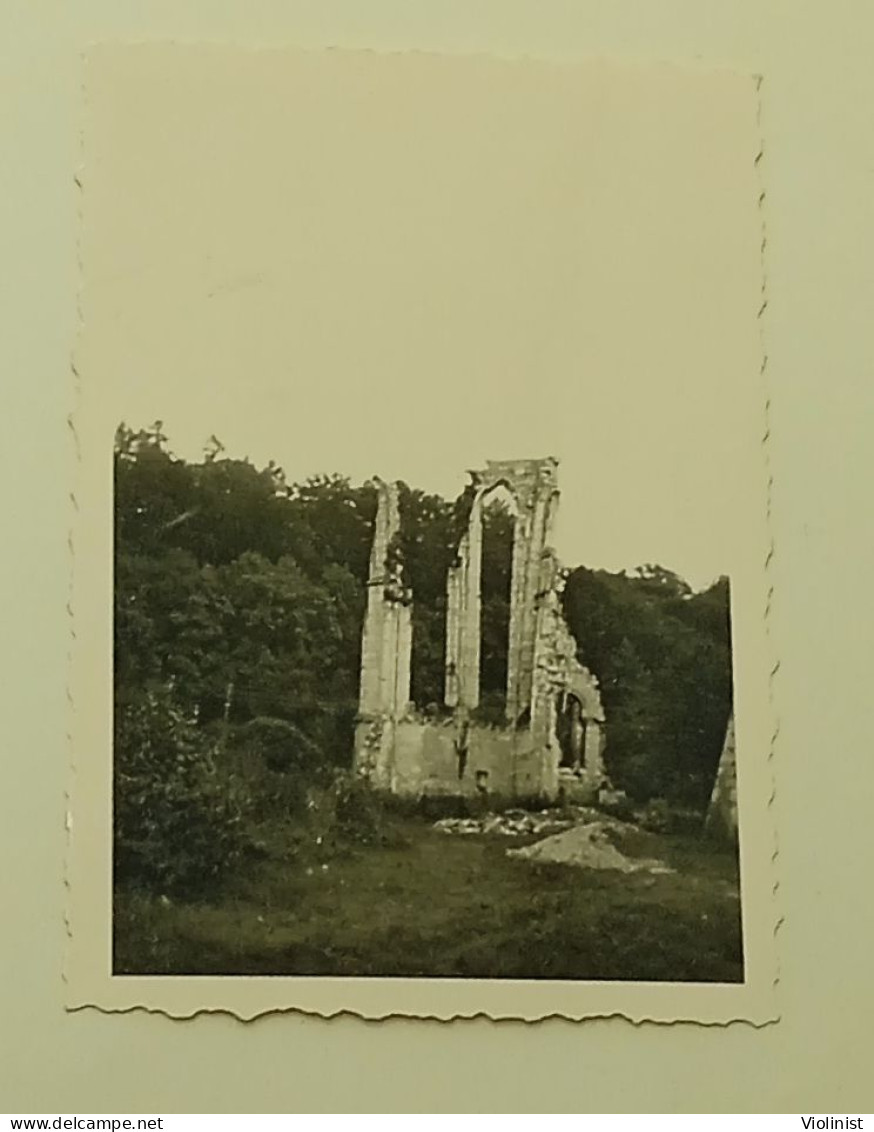 Germany - Ruins Of Walkenried - Places