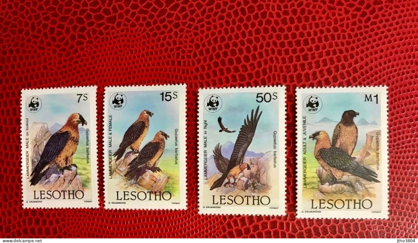 LESOTHO WWF 1986 Complete 4v Neuf MNH ** Mi 556 / 559 Pájaro Bird Pássaro Vogel Ucello Oiseau - Neufs