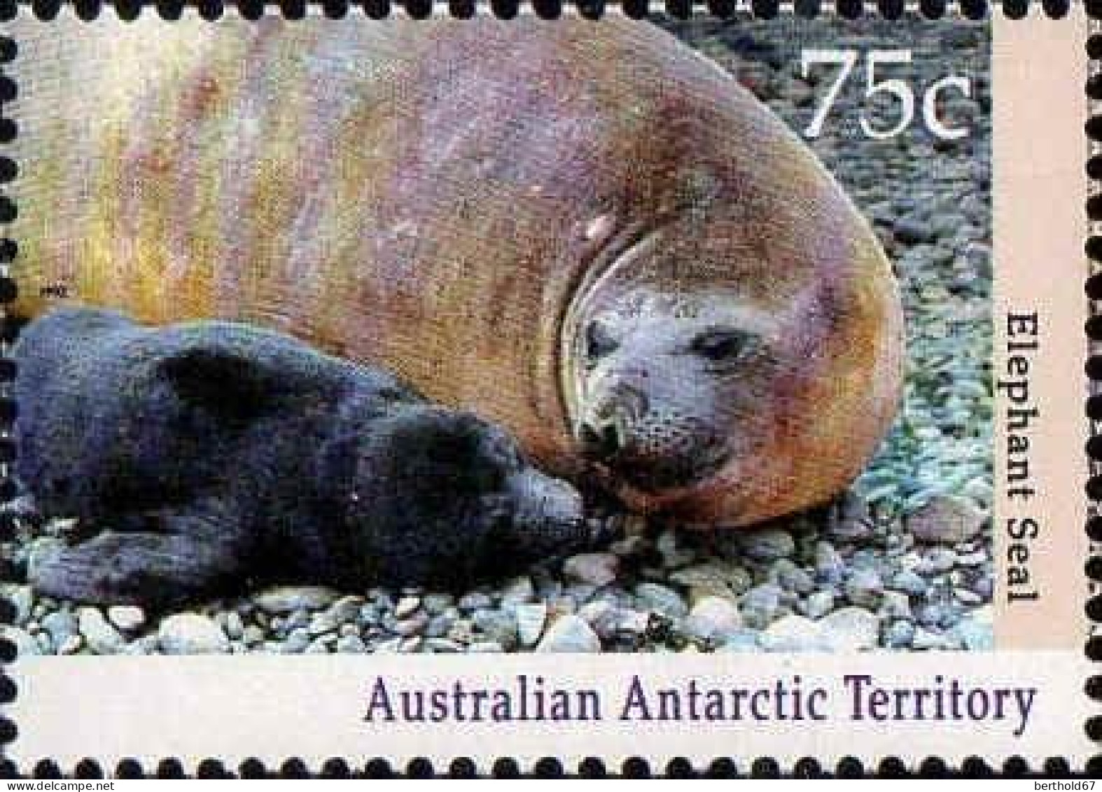 Antarctique Aust Poste N** Yv: 90/94 Faune Antarctique - Nuevos