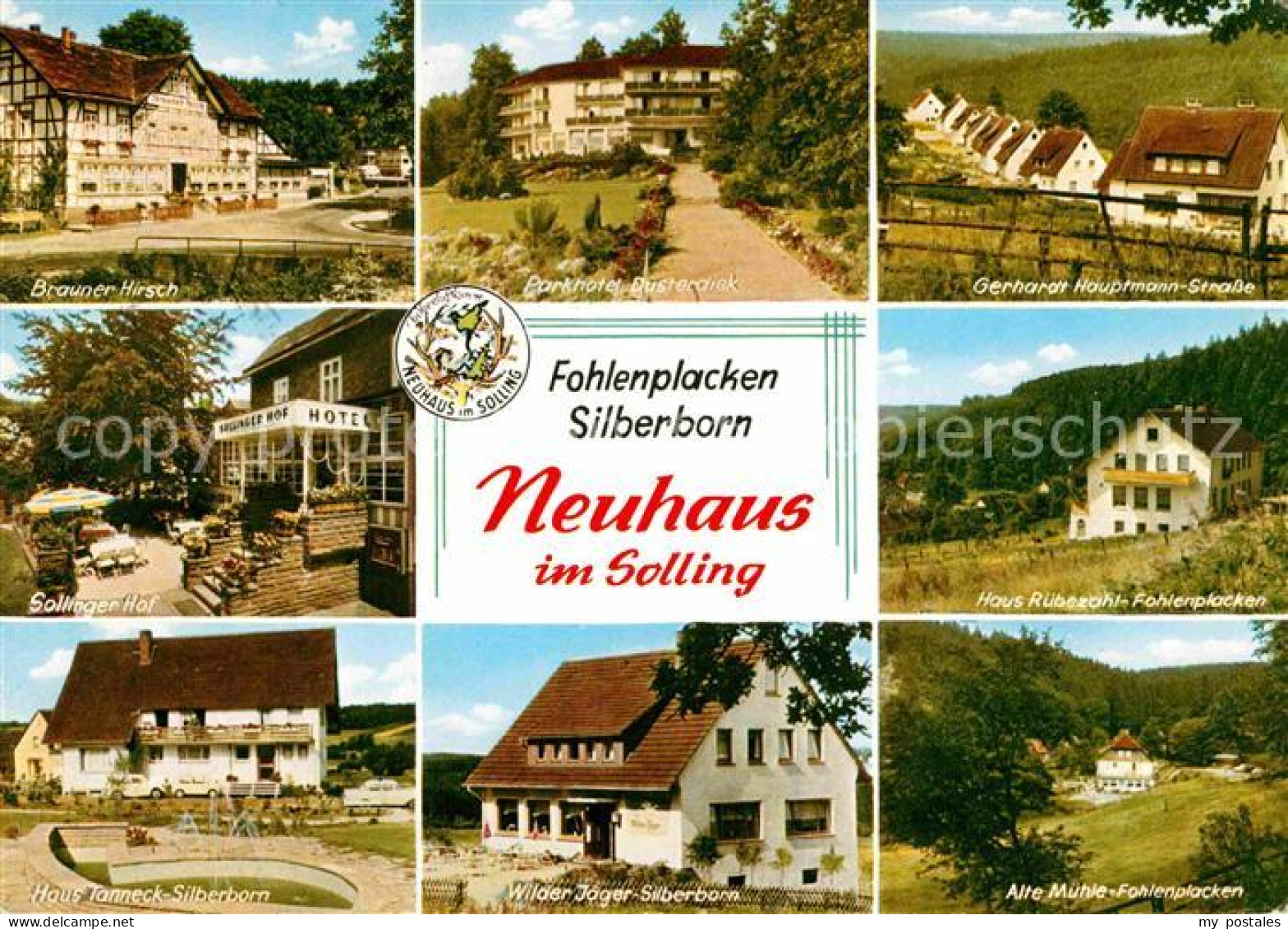 72846060 Neuhaus Solling Fohlenplacken Silberhorn Brauner-Hirsch Parkhotel-Duest - Holzminden