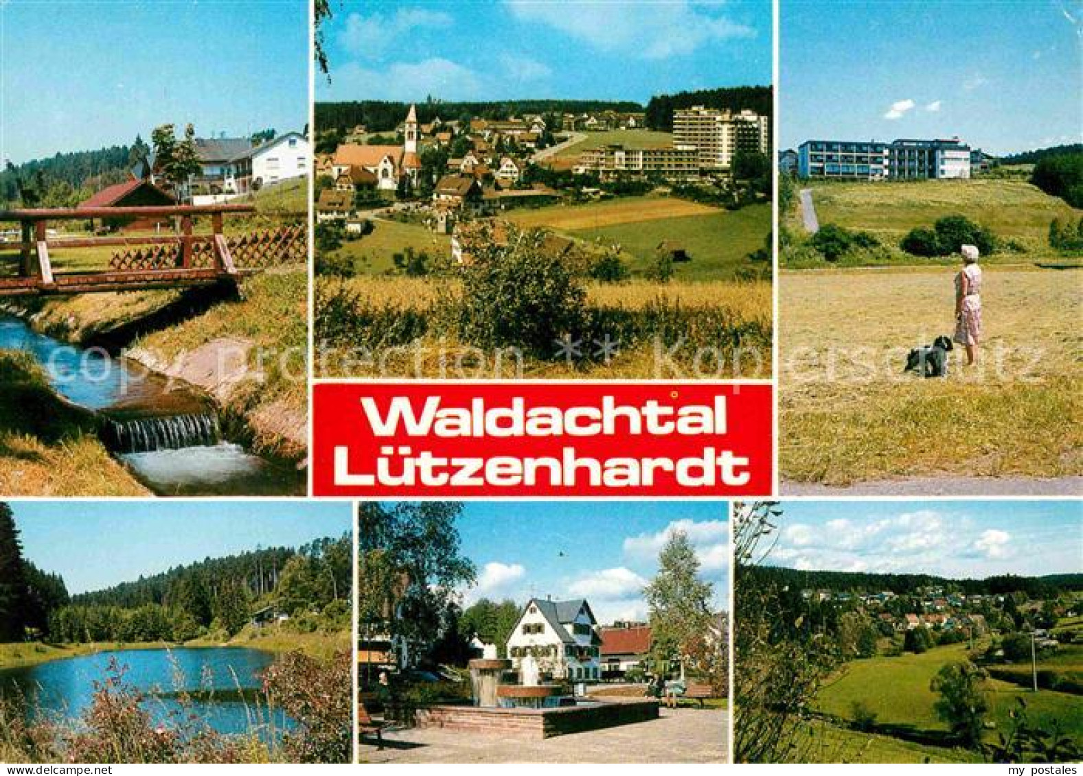 72845982 Luetzenhardt Waldachtal Waldachtal - Autres & Non Classés