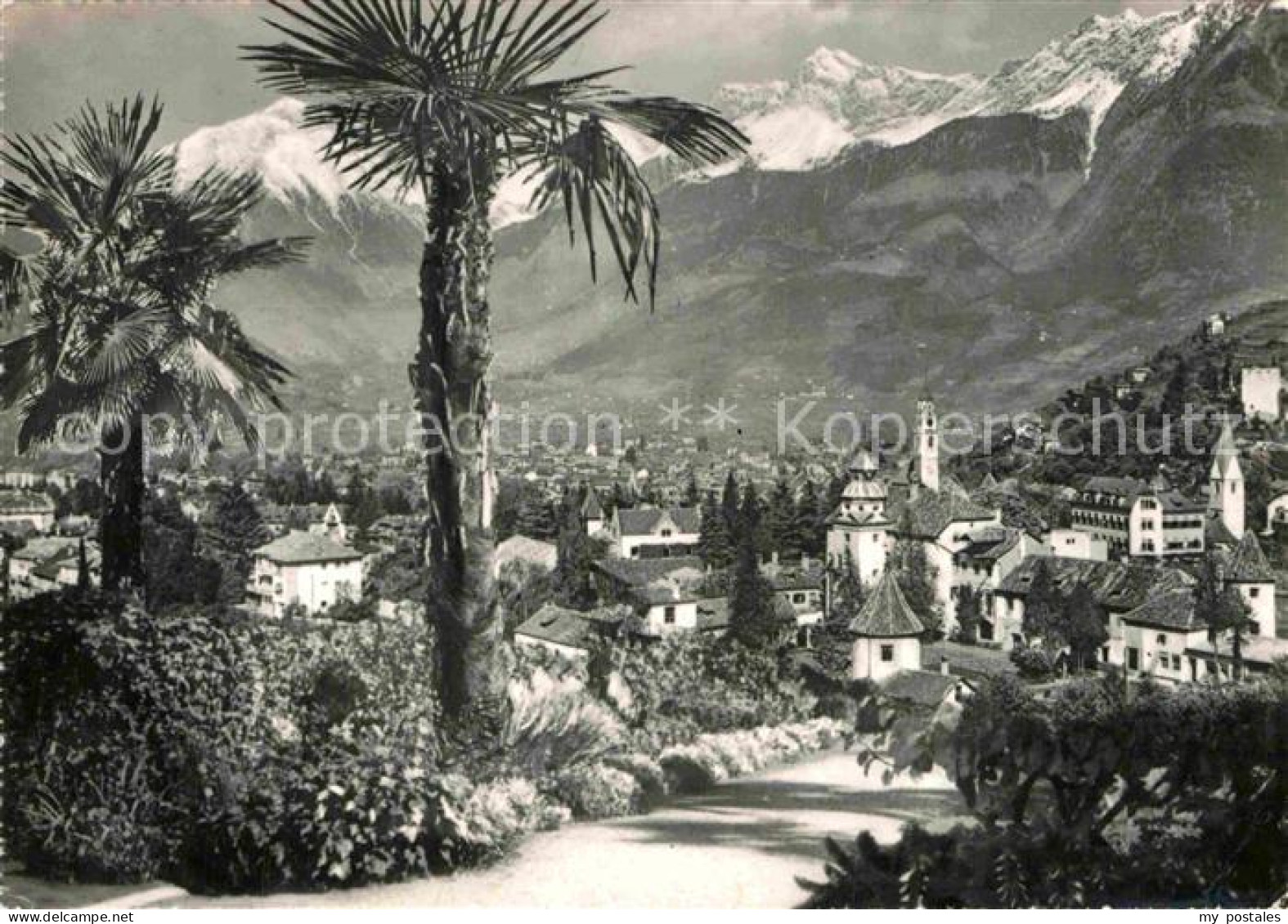 72845076 Meran Merano Stadtpanorama Mit Blick Zur Texelgruppe Merano - Other & Unclassified