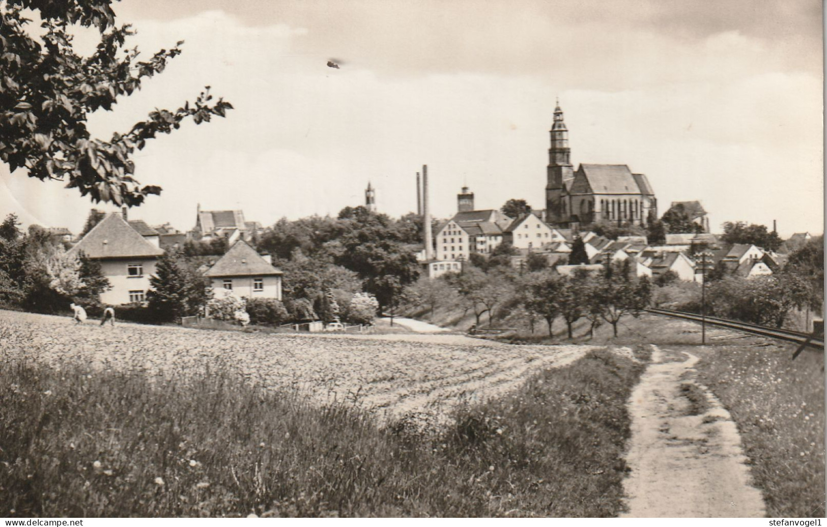 Kamenz    1963  Am Stadtrand - Kamenz