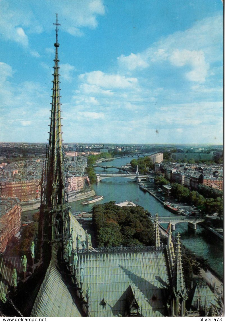 PARIS - La Seine Et Le Flèche Des Tours De Notre-Dame - Notre Dame Von Paris