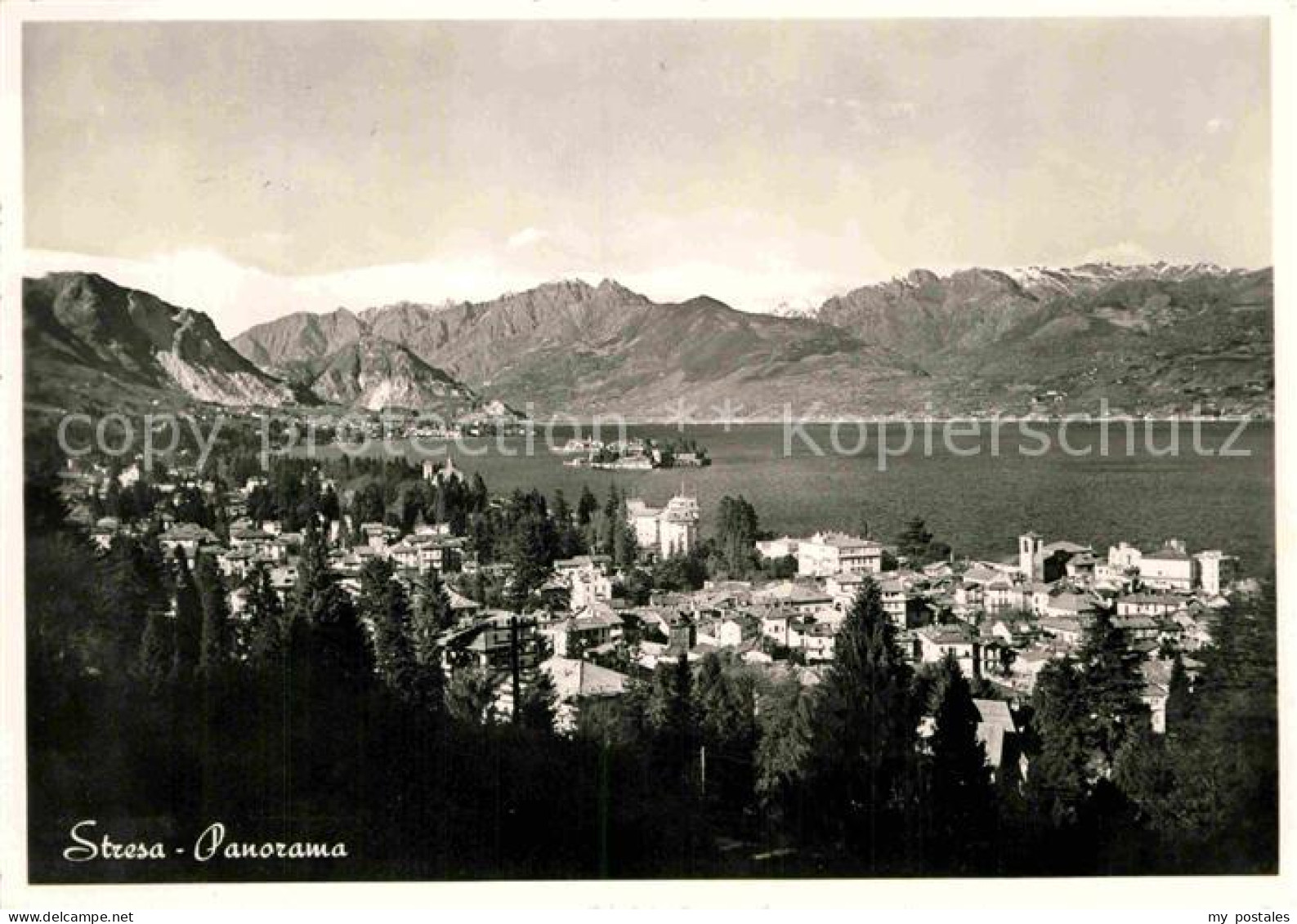 72844760 Stresa Lago Maggiore Panorama  - Autres & Non Classés